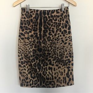 NWOT Leopard Print Stretch High Waisted Pencil Skirt
